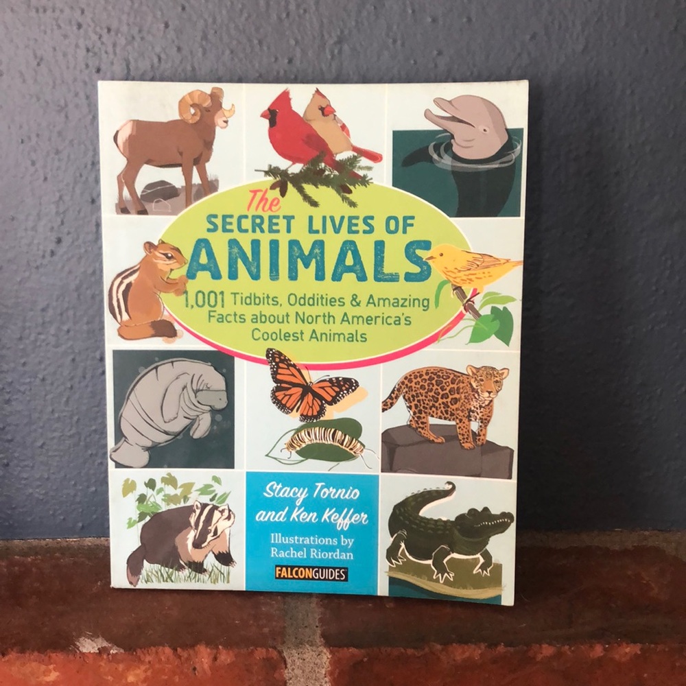 Children’s book